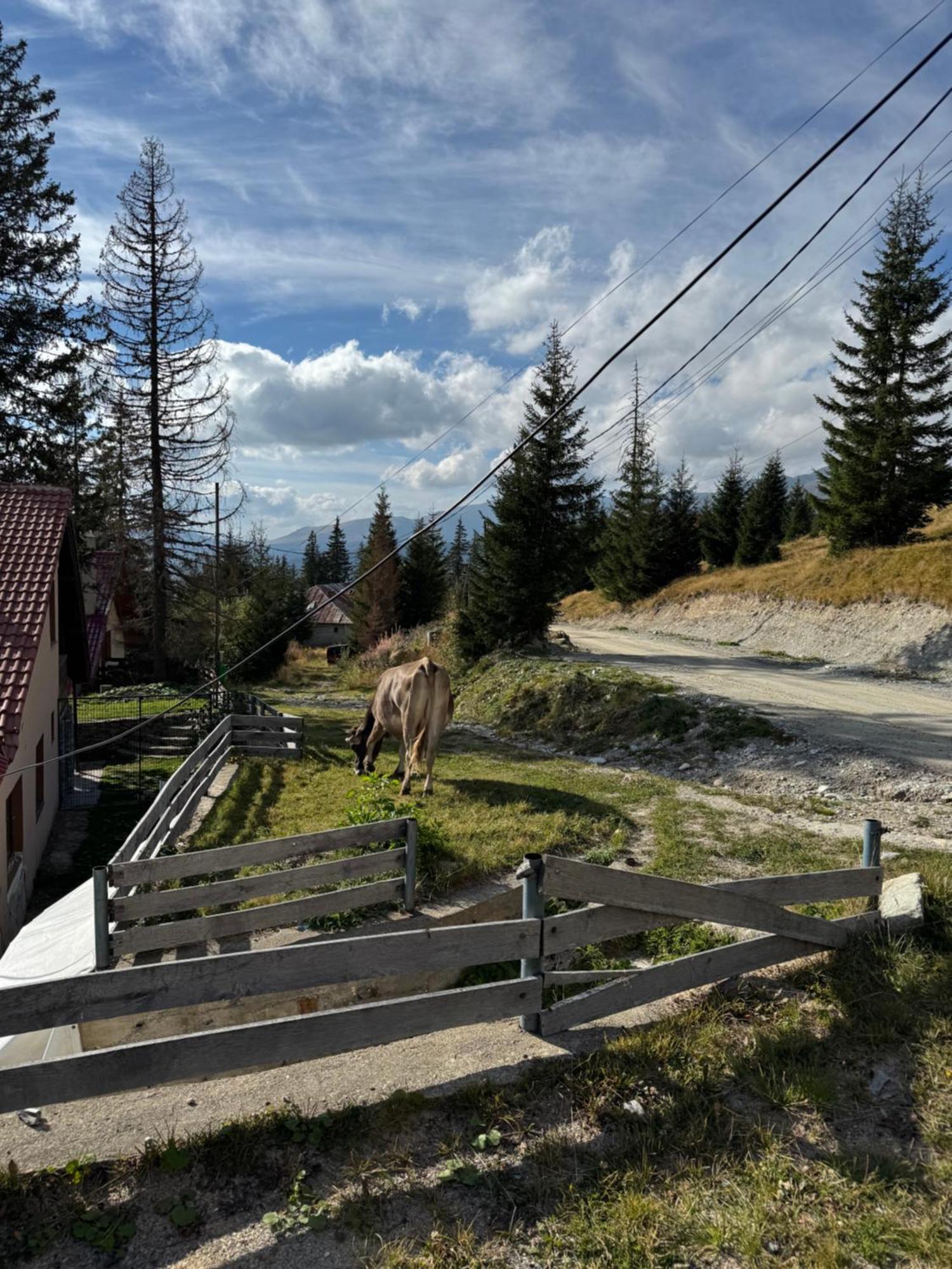 Casa Hai La Ranca Luaran gambar